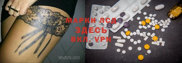 прущие грибы Аркадак