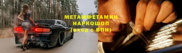 прущие грибы Аркадак