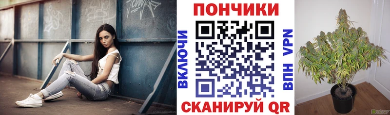 Каннабис марихуана  кракен вход  Горячий Ключ 